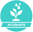 Ayudante de siembra y riego de plantas